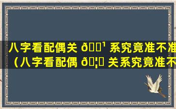 八字看配偶关 🌹 系究竟准不准（八字看配偶 🦄 关系究竟准不准确）